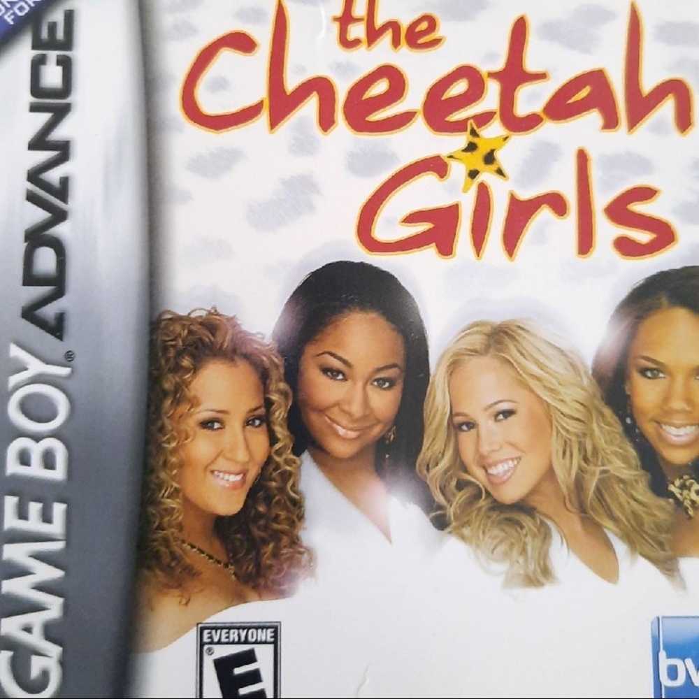 The Cheetah Girls Game